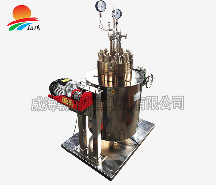 中國地質大學-超高溫高壓反應釜